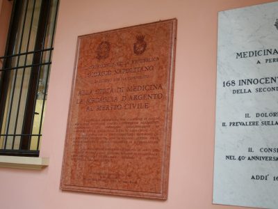 Medicina medaglia d'oro (2)